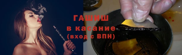 spice Верея